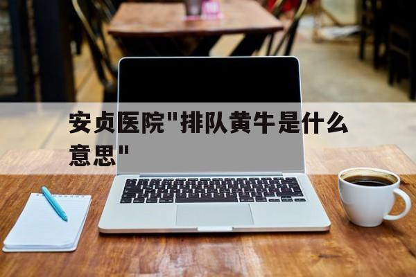 包含安貞醫院"排隊黃牛是什么意思"的詞條